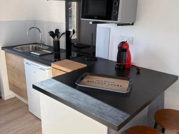 Studio 1 pièce 13 m² 