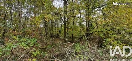 Terrain 91662 m² Bourgnac 