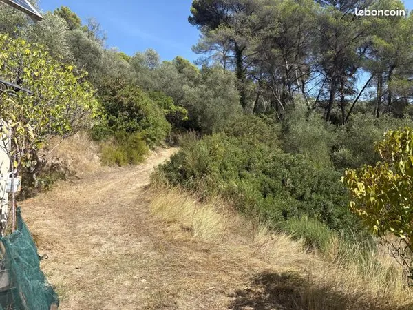 Terrain 20771 m² 