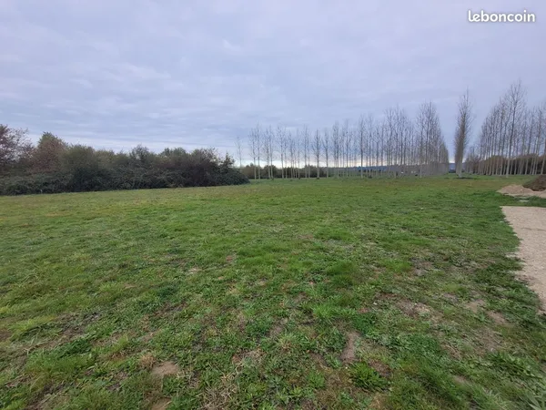 Terrain 1216 m² Beaupuy 
