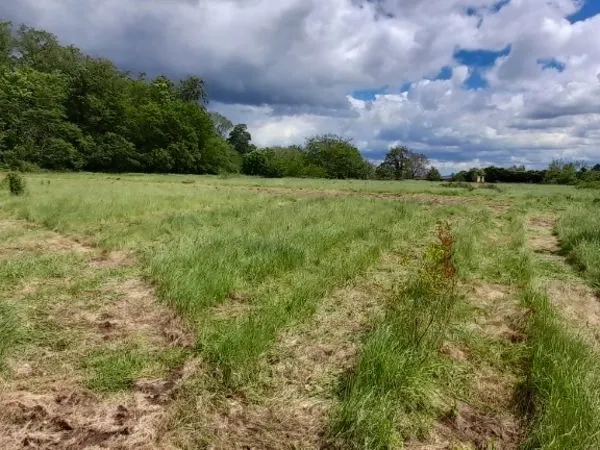 Terrain 450 m² 