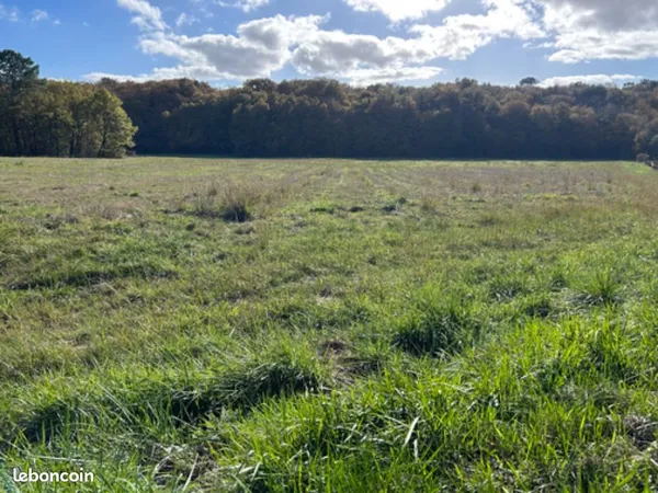 Terrain 600 m² Landiras 