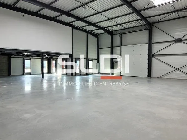 Locaux d'activités - A LOUER - 703 m² divisibles à partir de 243 m² 