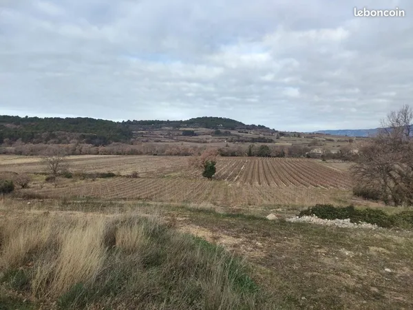 Terres agricole 