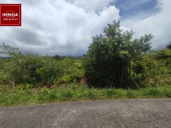 A vendre terrain agricole - 989 m² - Saint-Benoît (97470) 