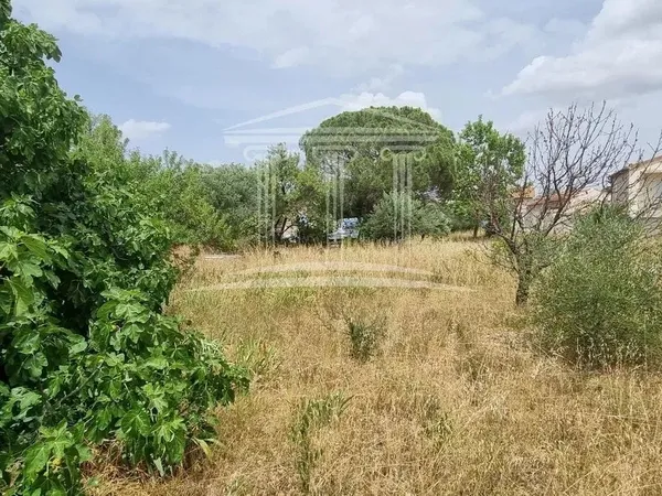 Terrain Vente Sorgues  375m² 108000€