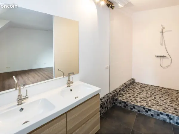 Maison alsacienne de caractère - 220 m² - Libre de suite 