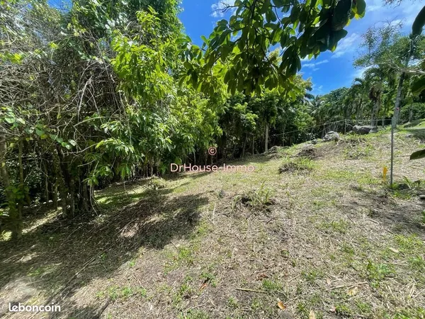 Terrain 887 m² bouillante 