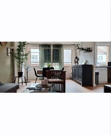 Appartement 60m2 meublé centre ville à louer 