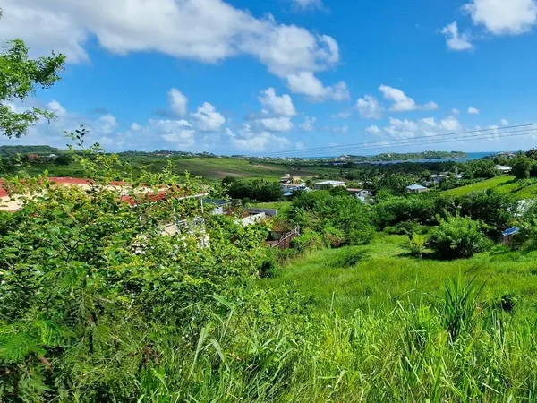 Propriété 350 m² 