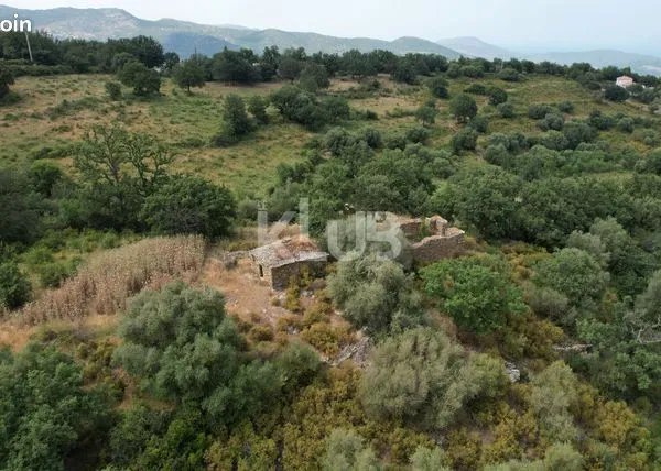 Terrain 2000 m² 