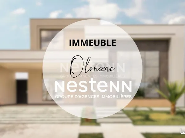Immeuble 590 m² 