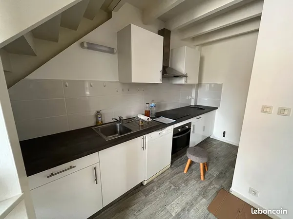 Duplex 3 pièces 57 m² 
