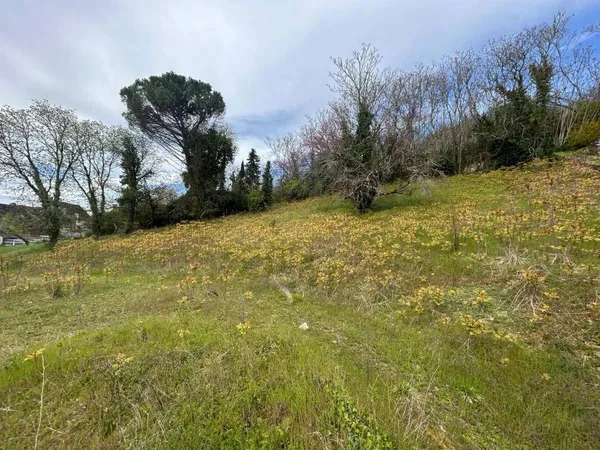 Propriété 