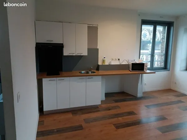 Duplex 2 pièces 48 m² 
