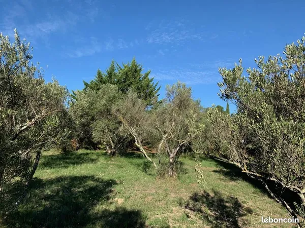 Terrain 730 m² Lorgues 