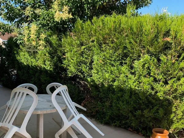 Colocation Arlac CHU IMS maison avec jardin 
