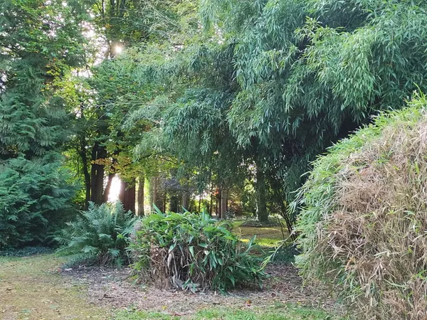 Vends parc avec maison de campagne 90m² calme limite Artois Picardie 