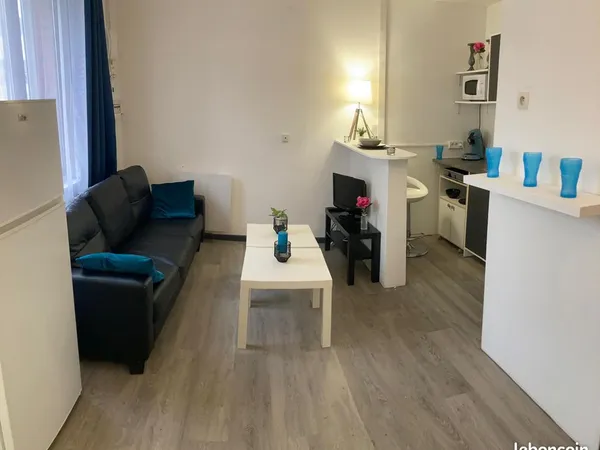Grand Studio avec 1 chambre séparée 