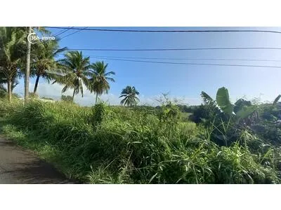 Votre projet de construction Villarchipel sur ce terrain 