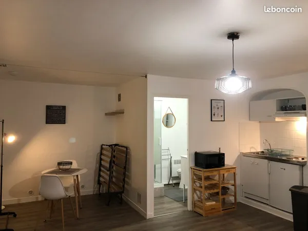 Appartement T1 39 M2 rénové et meublé avec entrée indépendante et coin nuit à Marboué 5min 