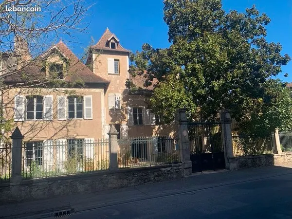 Grande maison de caractère avec garage et jardin en centre-ville, dépendances, petite maison à 