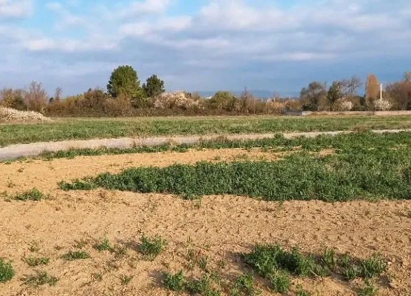 Terrain 534 m² Canet 
