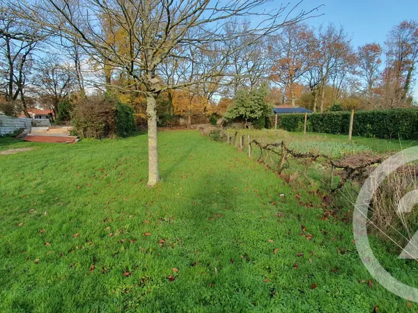 Terrain 1195 m² 