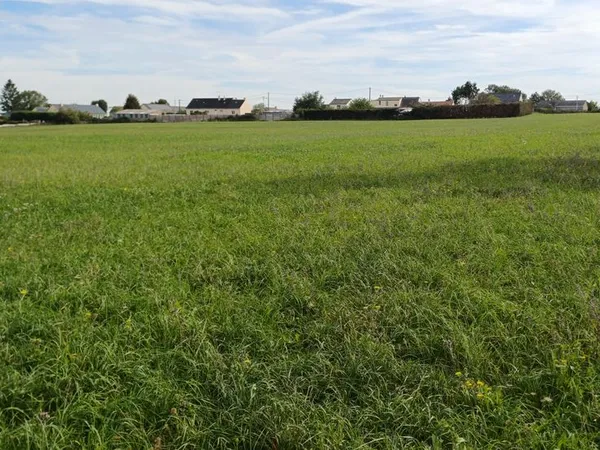 TERRAIN DE LOISIR 8000 m² DE NATURE PROCHE ANCENIS 