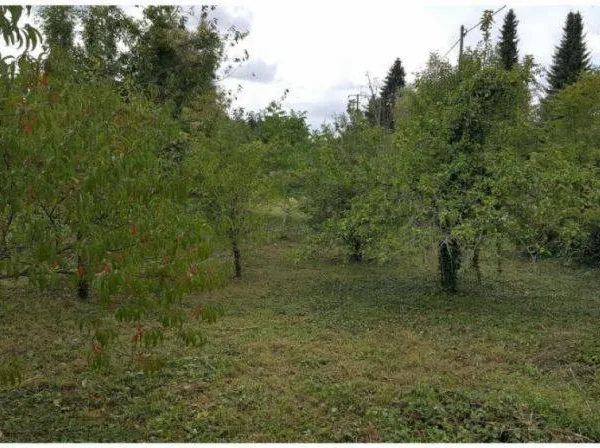 Vends terrain Nouvion le Vineux 
