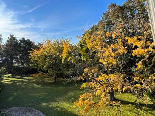 Vends maison 600m² 