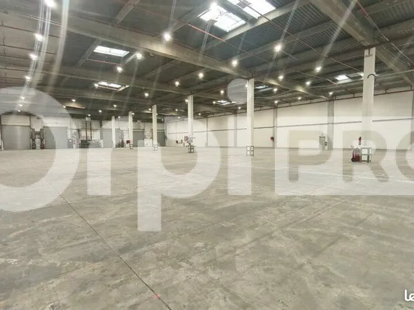 Local d'activité 8 577 m² 