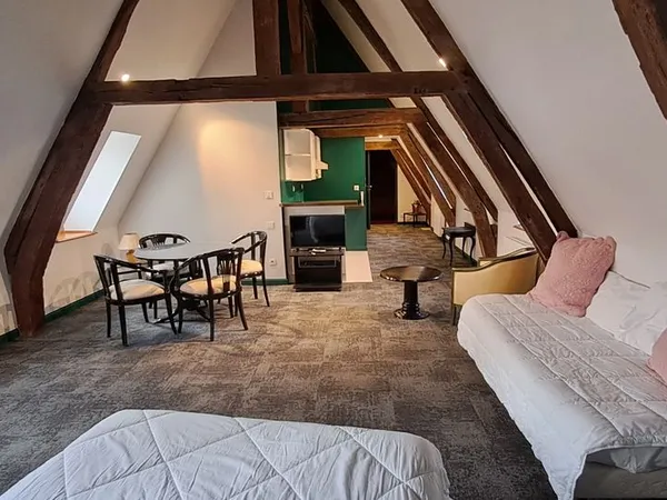 Appartement entièrement refait à neuf de 56m2 - Dans Hôtel Particulier 