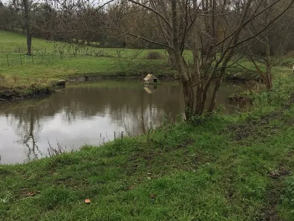 14130 Terrain non constructible 3500m², mare, ruisseau 