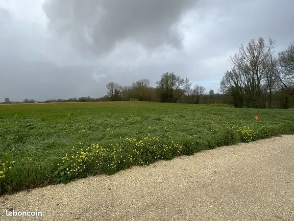 🏡 Terrain constructible 2 000 m² - Environnement calme - Proche Saint-Jean-d'Angély 