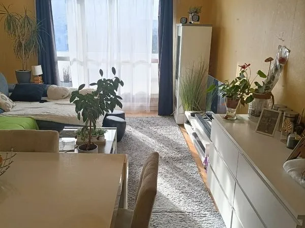 Appartement T3 lumineux 
