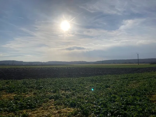 Terrain en individuel 930 m² 