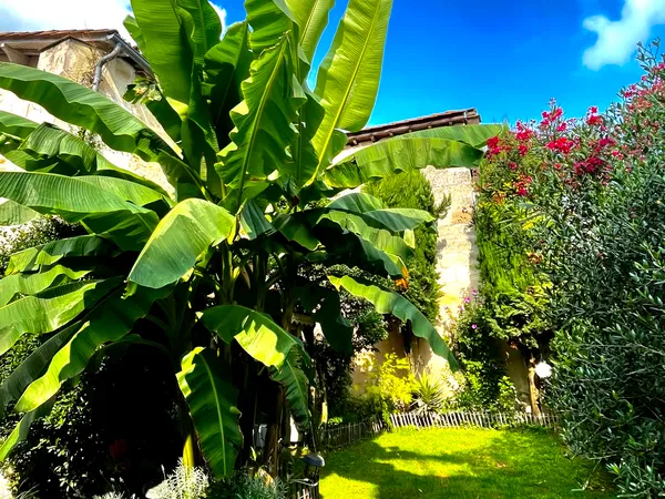 Vends maison 200m² coeur bastide 5 chambres, jardin, stationnement 