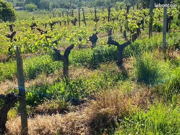 Terrain agricole 70000 m² 