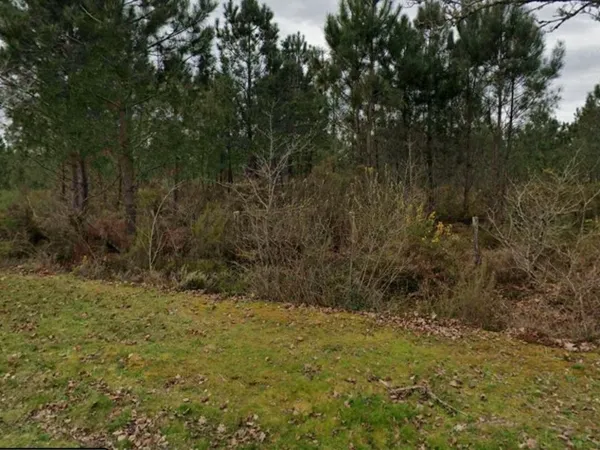 Terrain 600 m² 