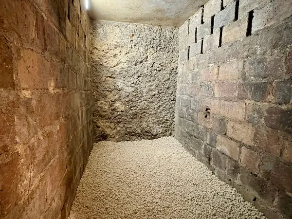 Vends lot de 2 caves saines et sécurisées 