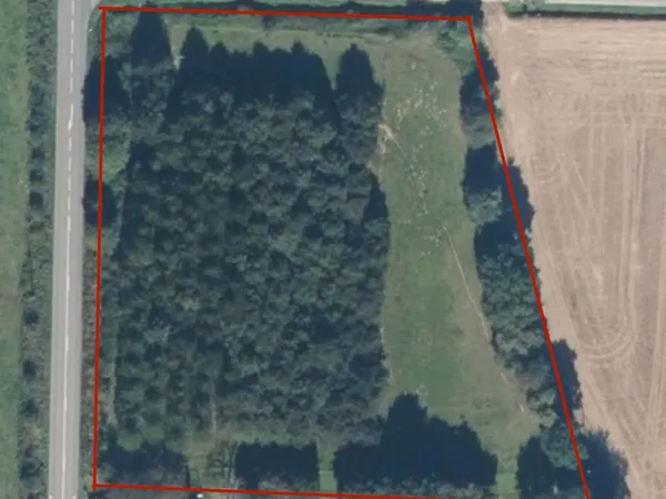 Terrain avec chênes et merisiers 