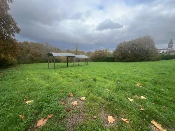 Terrain 10000 m² 