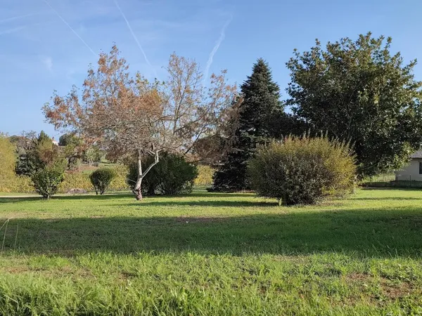 Beau terrain arboré 