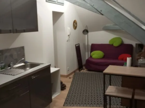 Appartement meublé 2 pièces 
