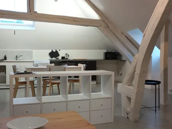 Grand T1 type Loft - Hyper centre ville 