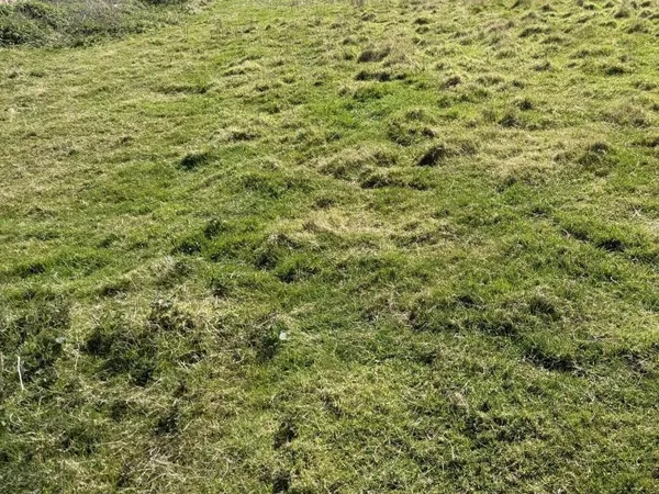 Terrain à bâtir 278 m² 