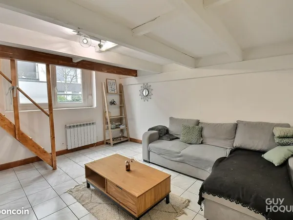 Charmant Appartement T1 Meublé avec Mezzanine, Idéal Premier Achat Lyon 3ème (69003) 