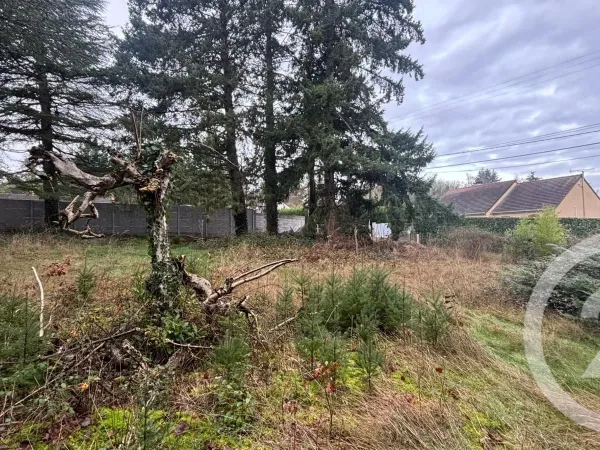 Terrain 655 m² 