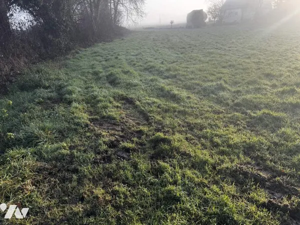Terrain 1960 m² 